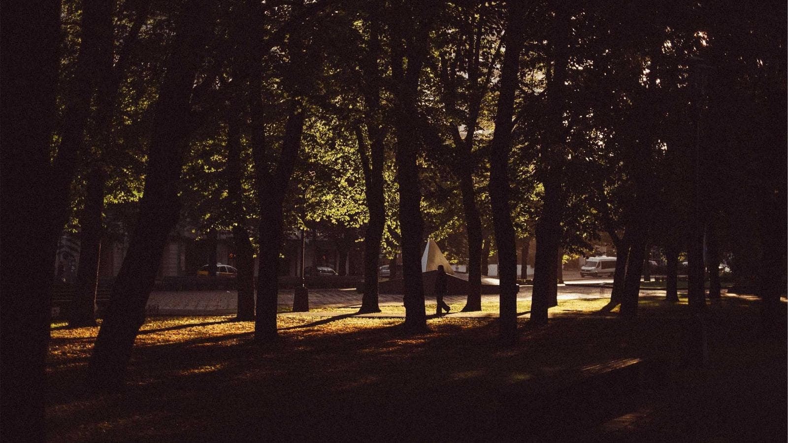 Detrás de cámara: la sesión de otoño